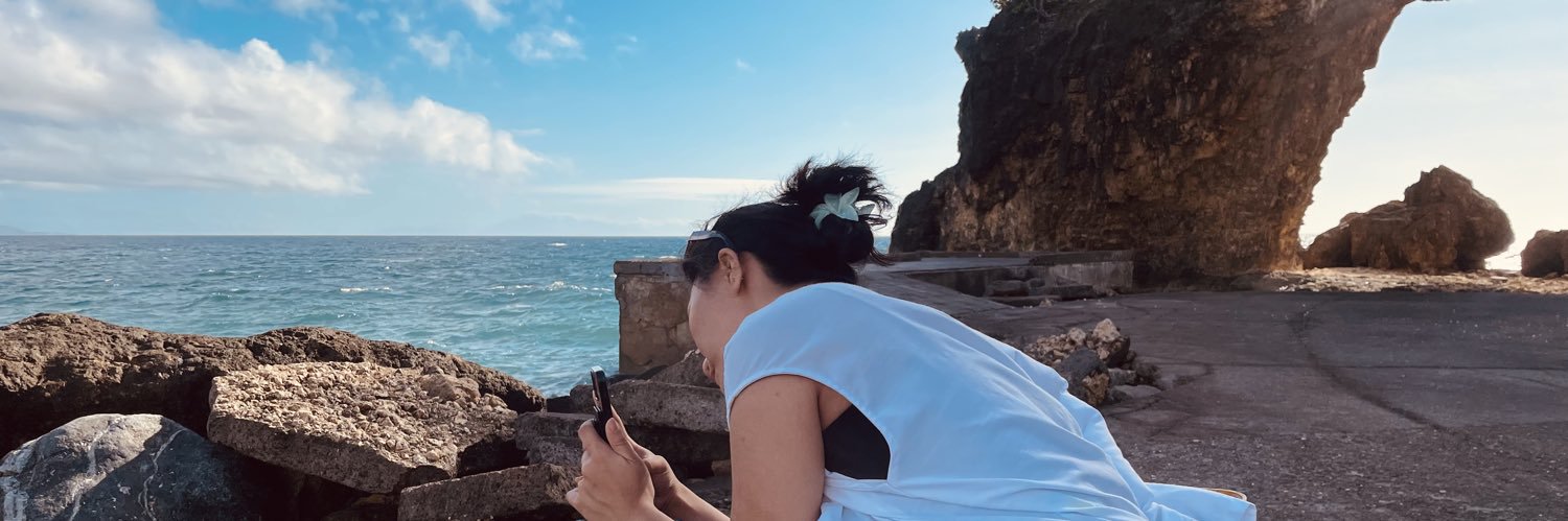 nicavaljean's profile banner image