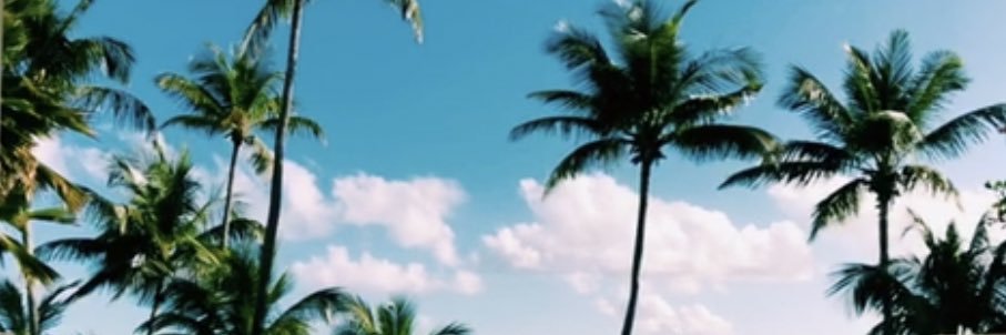 LeahHarvard's profile banner image