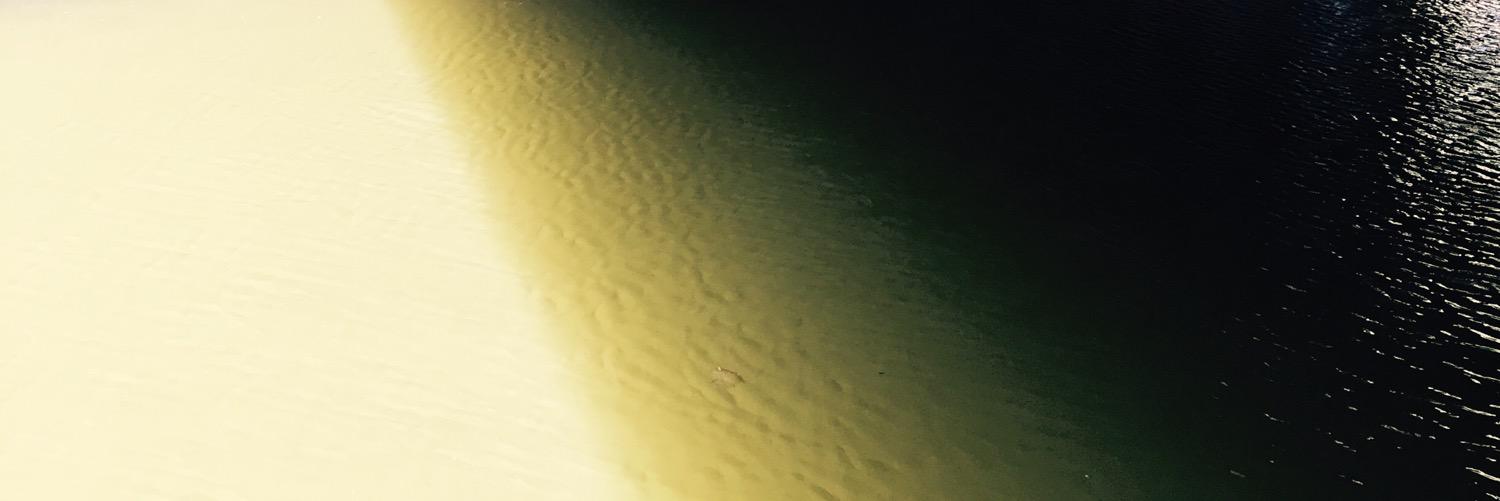 negritamac's profile banner image
