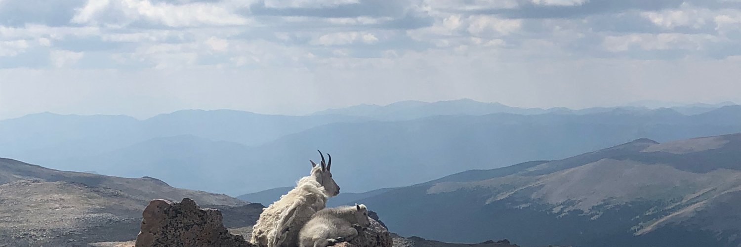 MagicSanaaa's profile banner image
