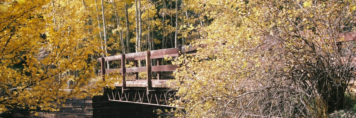 lisaparmley's profile banner image