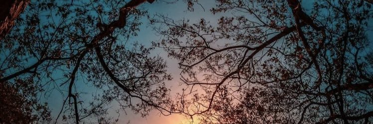 alkmesees's profile banner image