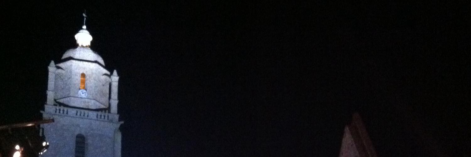 Ronan Daligault banner