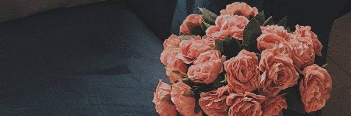barghijaz's profile banner image