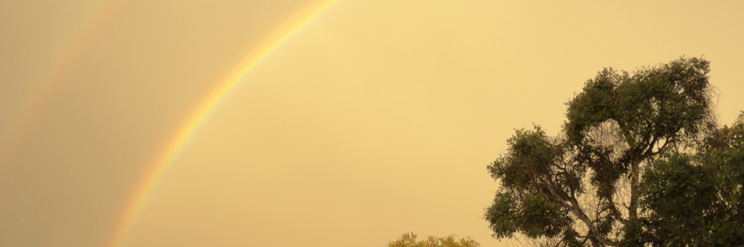 Maristeu 🇧🇷🇨🇮 banner