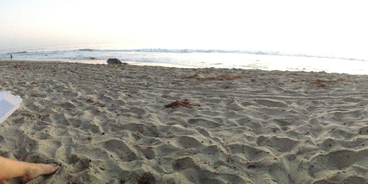 KendallTash's profile banner image