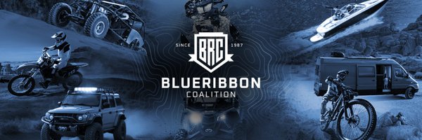 BRCBlueRibbon Profile Banner
