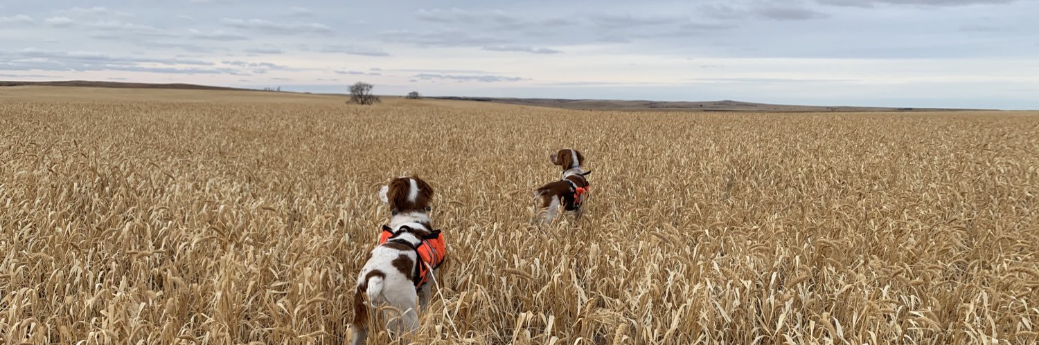 DrewBeck10's profile banner image