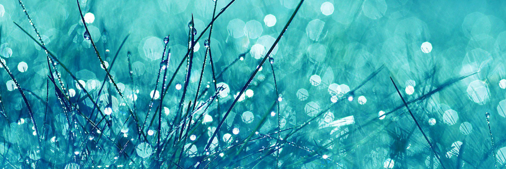RightBaroness's profile banner image