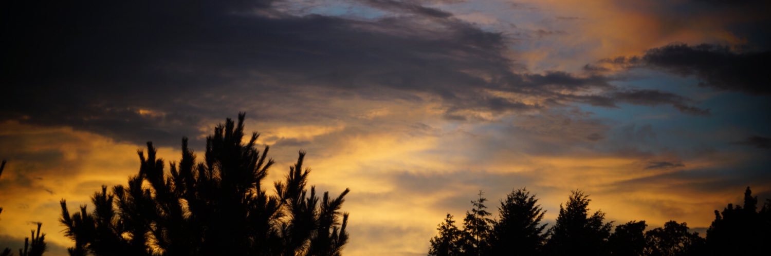 jenna_st1's profile banner image