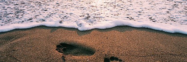 immadetective Profile Banner