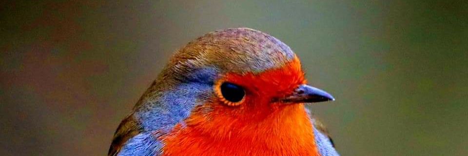 Smithie2409's profile banner image