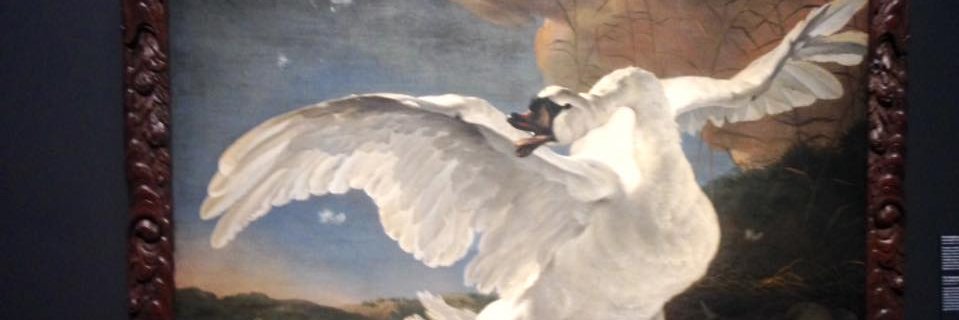 Rob_e_time's profile banner image