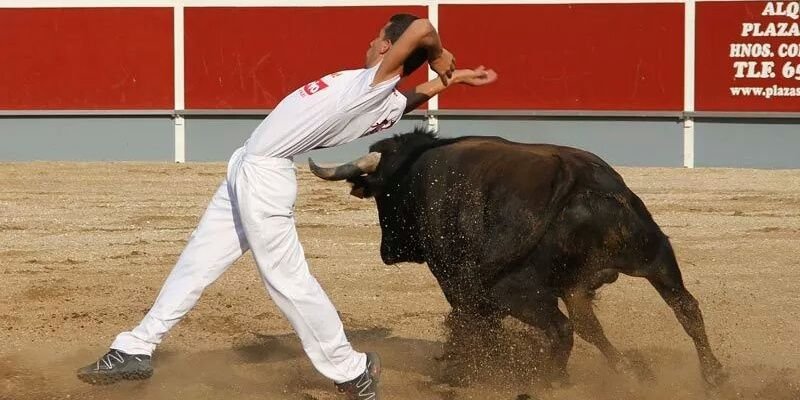 Sergio Bertol  banner
