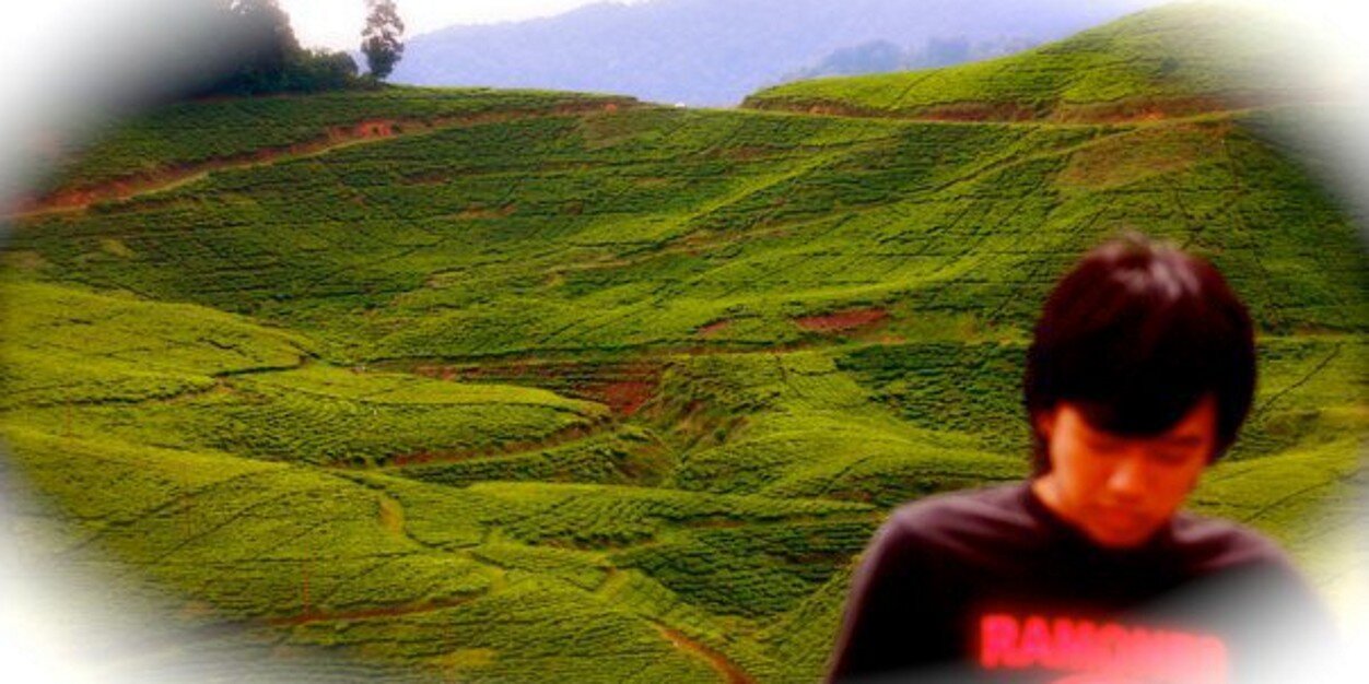 caknder's profile banner image