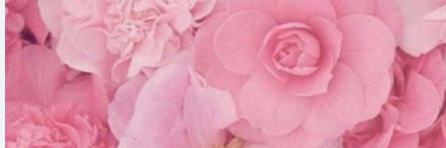 DieselJessica's profile banner image