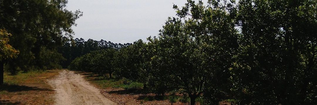 ChiesaFrannco's profile banner image