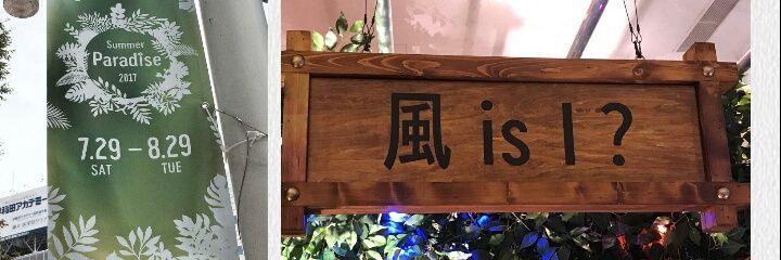 mai_mpp's profile banner image