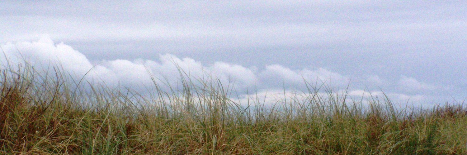 JolandaBeen's profile banner image