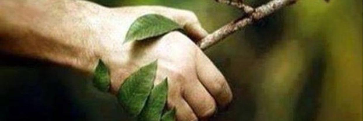 MattBeed's profile banner image