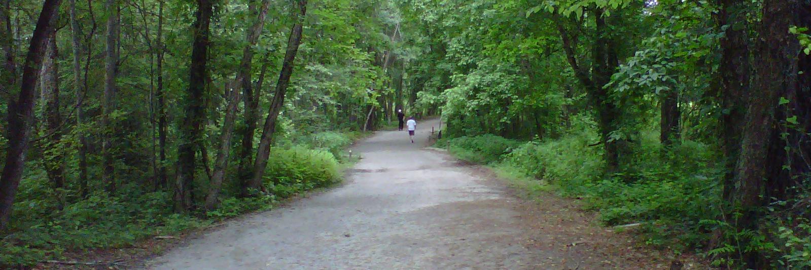 Amy Yoder Begley OLY 🏳️‍🌈 banner
