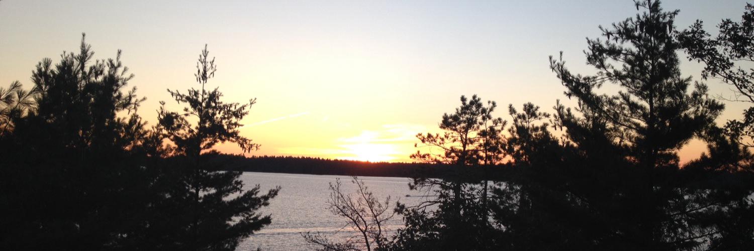 SHigginsToronto's profile banner image