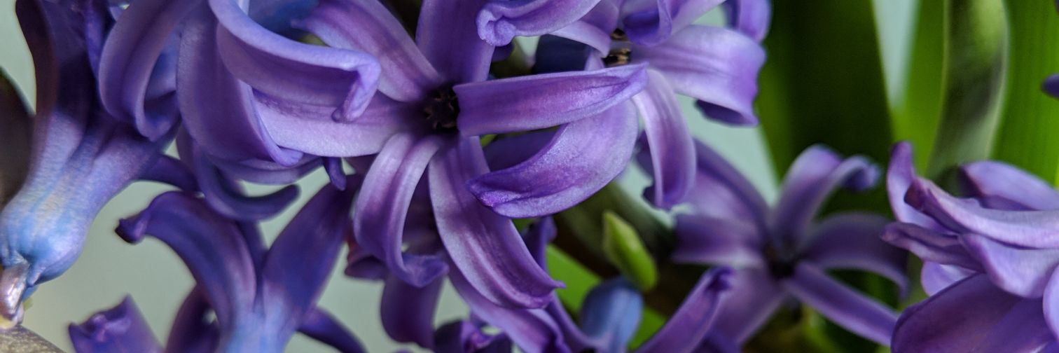 JulesJems's profile banner image