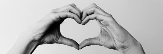 📚Rikke📖 banner