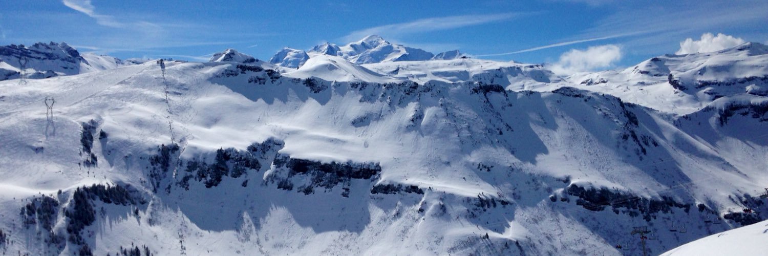 Leyla Yildirim banner