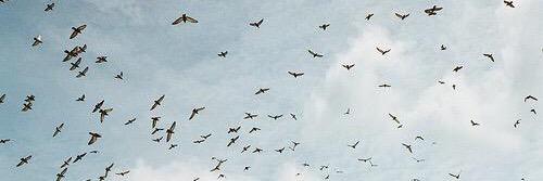 فالح بن مهل banner