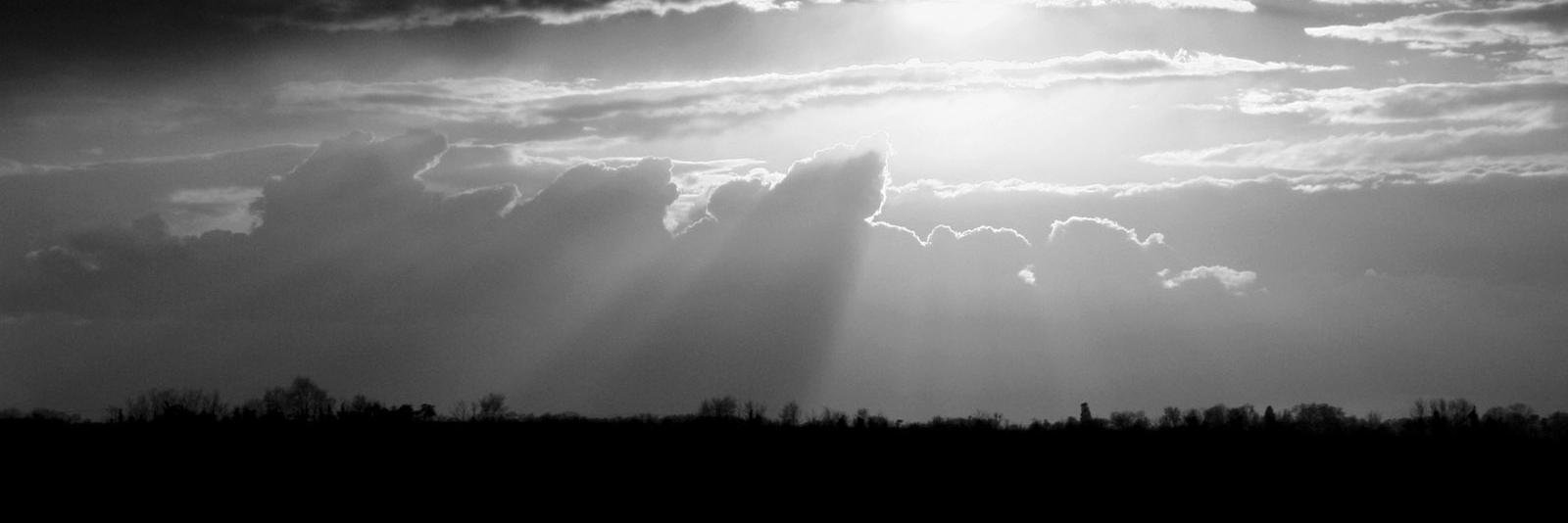 ToniMVidal's profile banner image