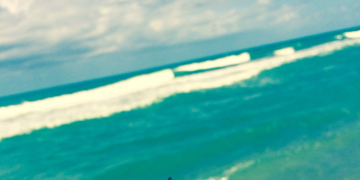 Fishhh banner