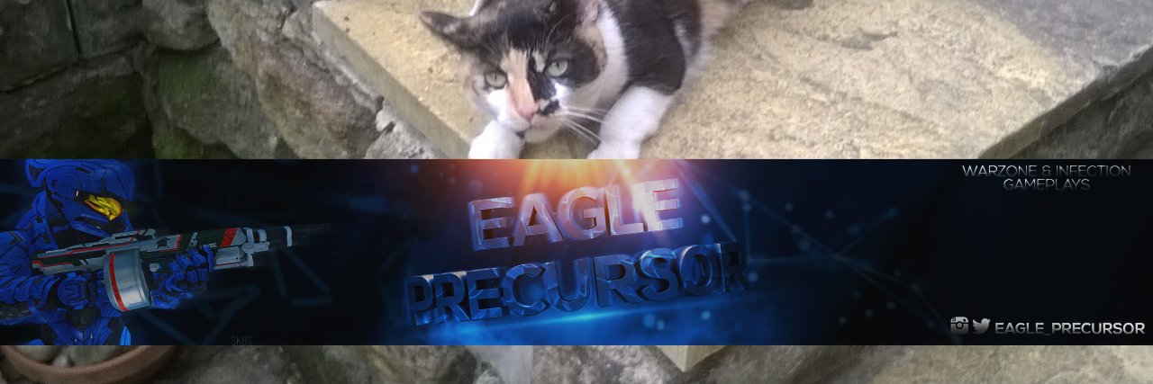 eagle_precursor's profile banner image