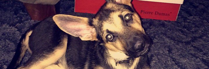 AudriePayton's profile banner image
