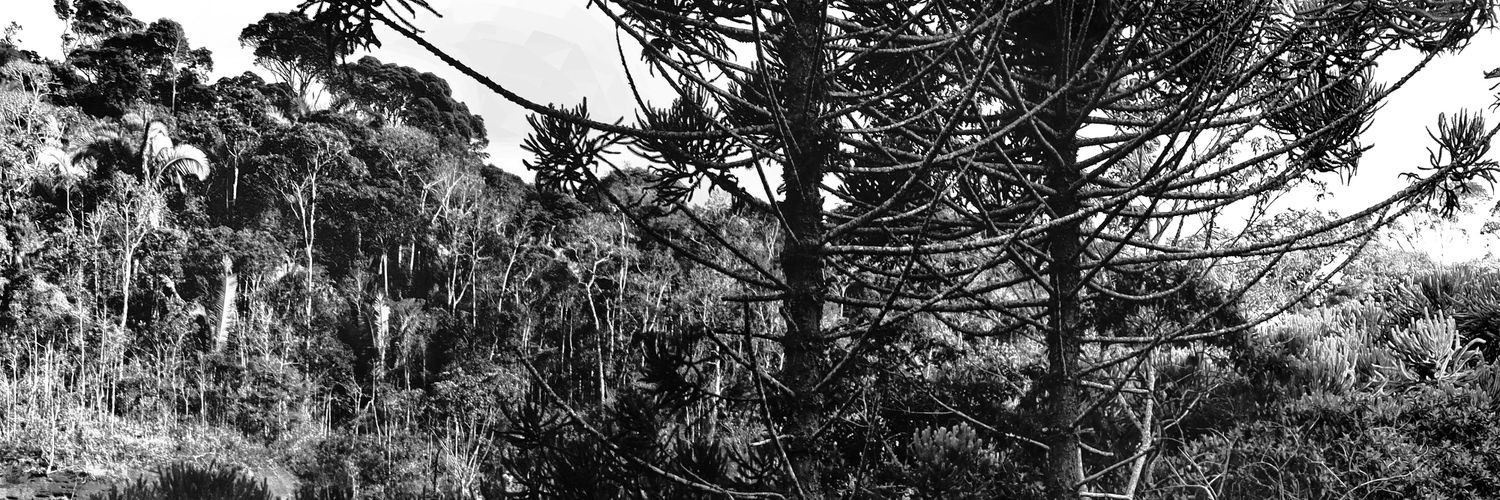 jvbkepp's profile banner image