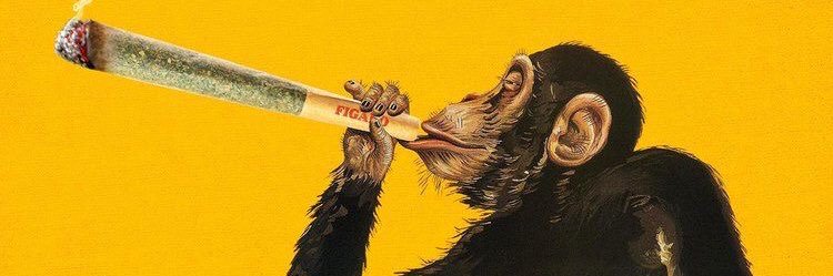 Higormgarcia's profile banner image
