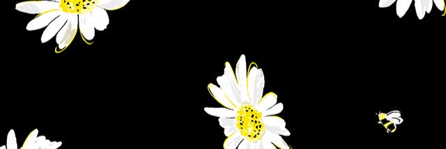 beckyakidd's profile banner image