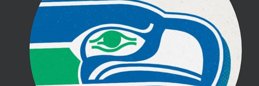 rencinasc's profile banner image