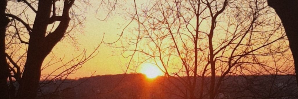camillebrbn's profile banner image