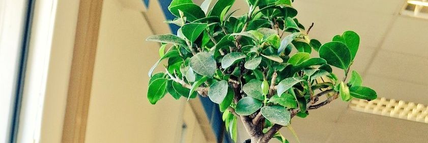 NthabiM_'s profile banner image