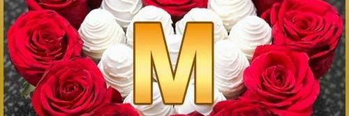 MarcellysE's profile banner image
