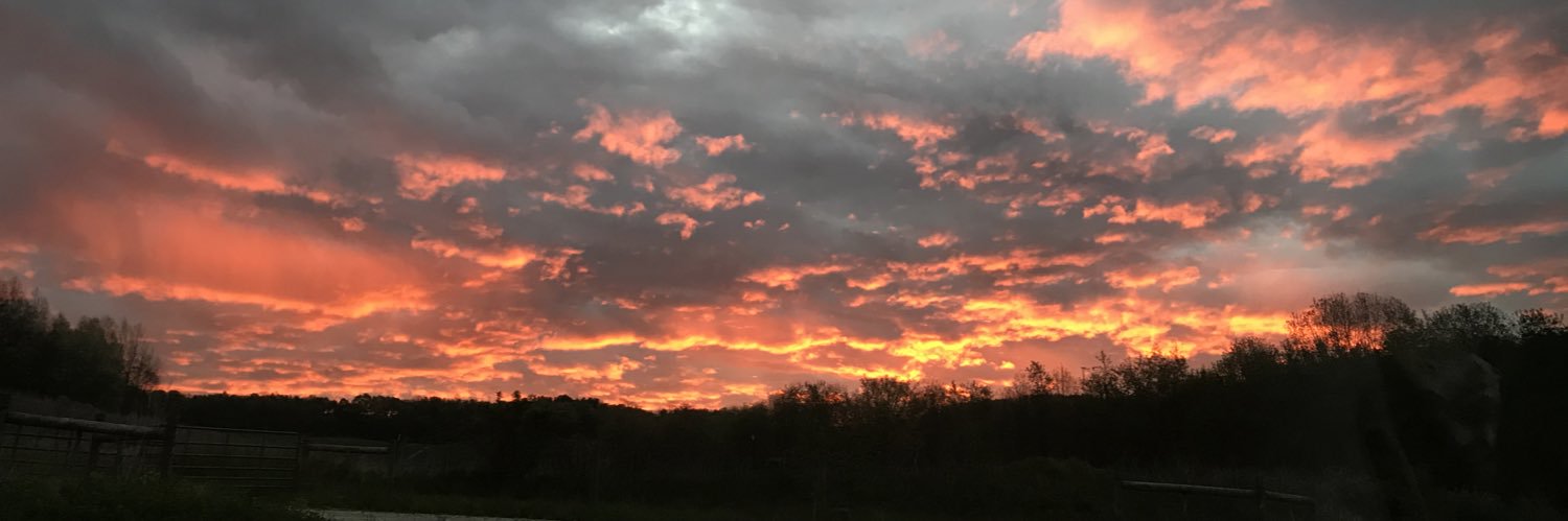 Xsarver's profile banner image