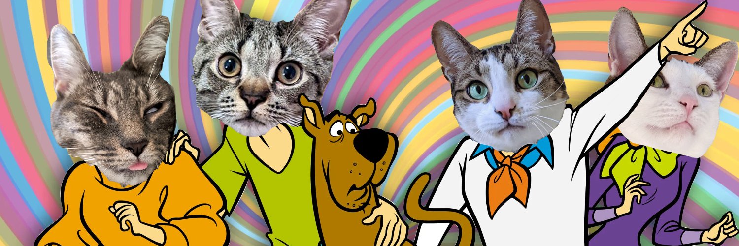 ectogammat's profile banner image