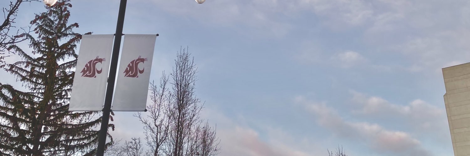taycurry's profile banner image