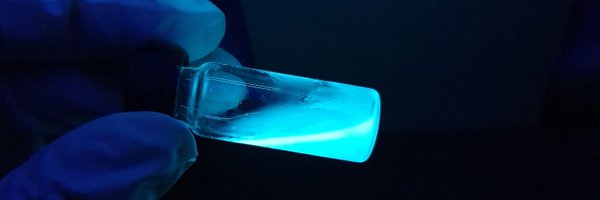 Delphiine_P Profile Banner