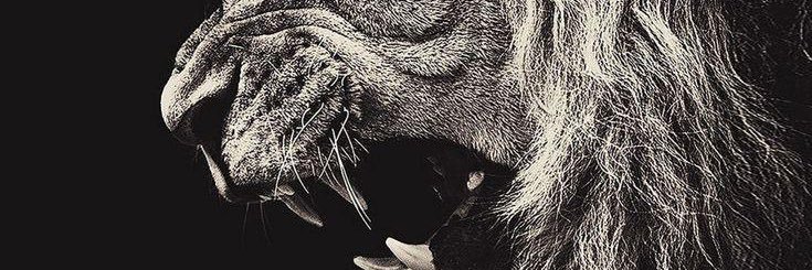 Jxngxng's profile banner image