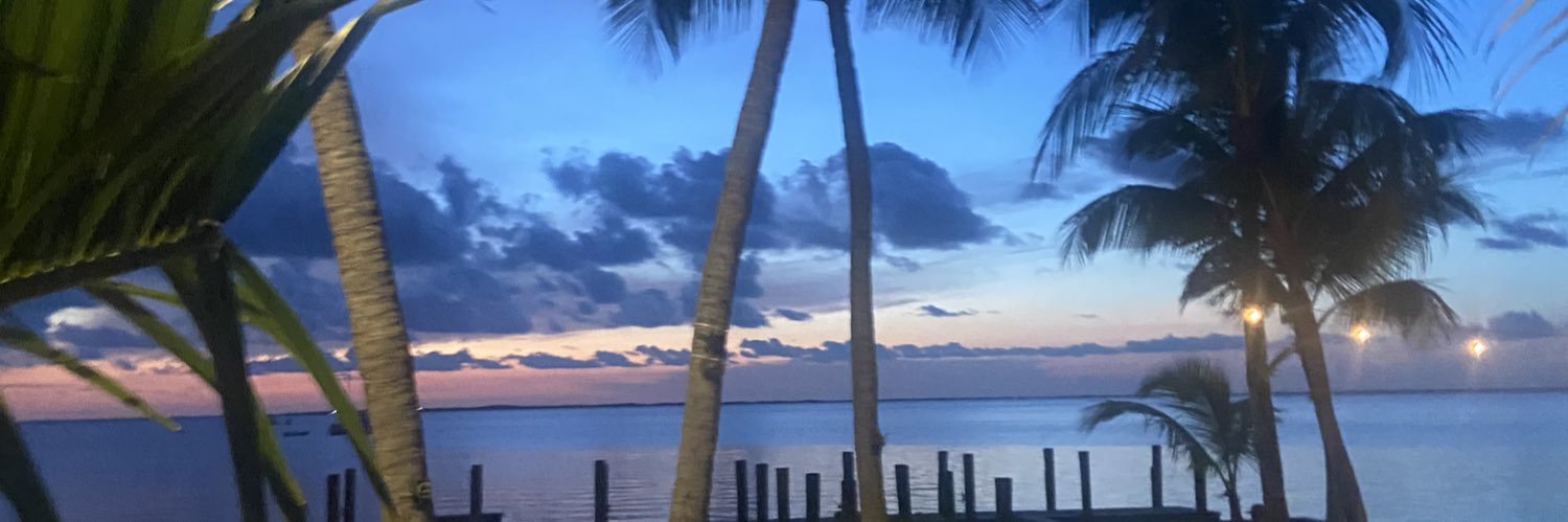 l_ashley1's profile banner image