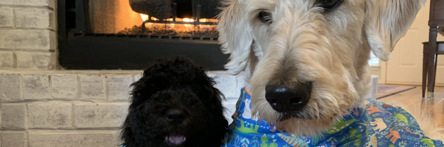 clovisthefrank's profile banner image