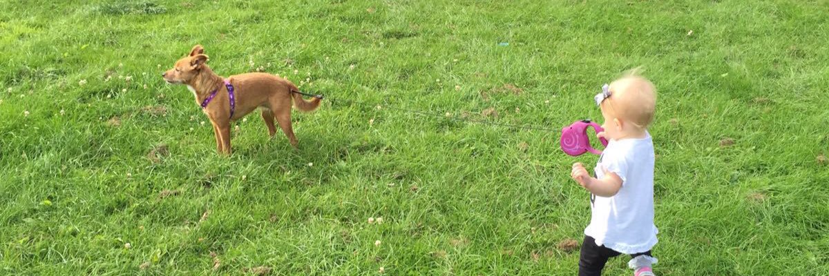 chappy103's profile banner image