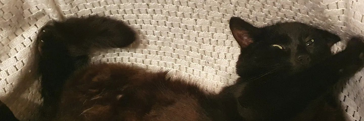 KateLiddane's profile banner image